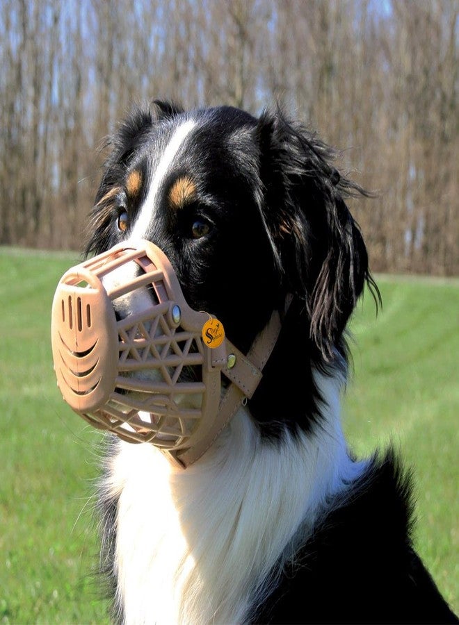 Sage Square Muzzle for Dogs | Plastic Dog Muzzle | Anti Bite Adjustable Pet Basket | Dogs Training Mouth Cover Mesh Cage | Breathable Comfortable | Pack of 1 (X-Small) - Image 5